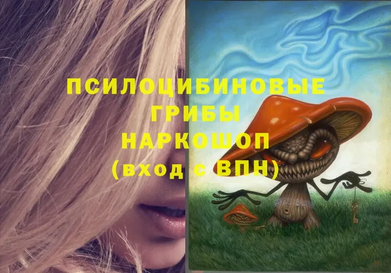 наркотики  Ростов-на-Дону  Галлюциногенные грибы MAGIC MUSHROOMS 